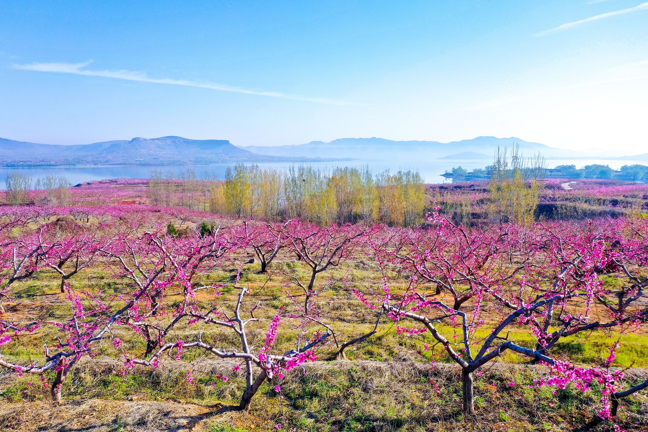 Mengshan National Forest Park