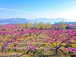 Mengshan National Forest Park