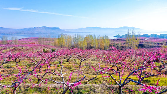 Mengshan National Forest Park