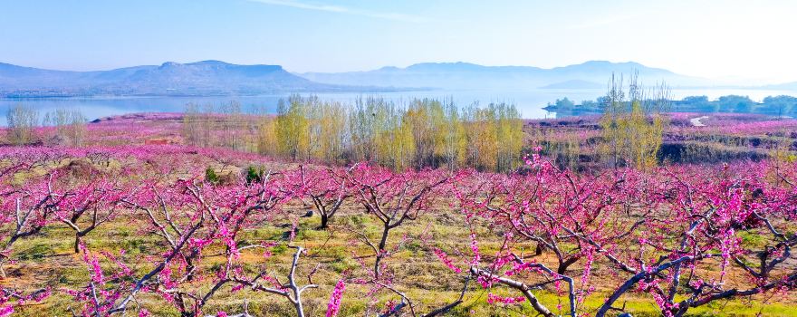 Mengshan National Forest Park