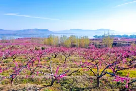 Mengshan National Forest Park