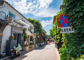 上海吉祥航空上海飛北京