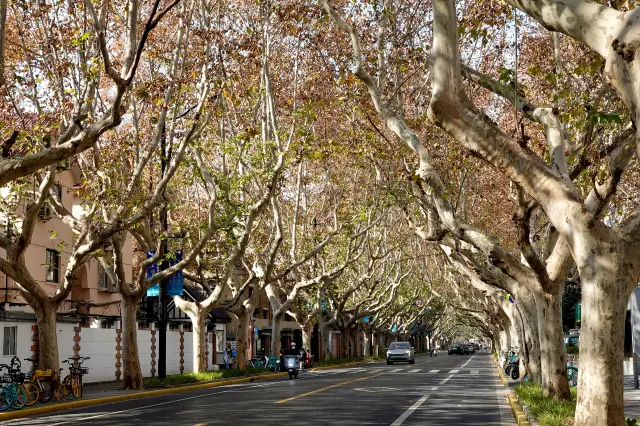 Walking Tours in Shanghai