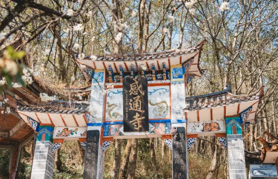 感通索道來回纜車票成人(贈蒼山地質公園門票)