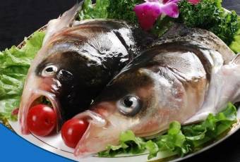 Popular dishes