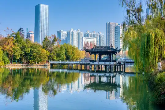 鄰近包公園的酒店