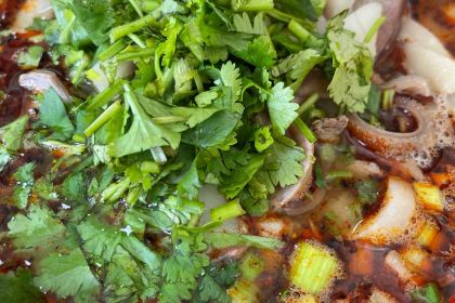 老马家羊杂碎店