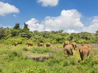 케냐항공 키수무-나이로비