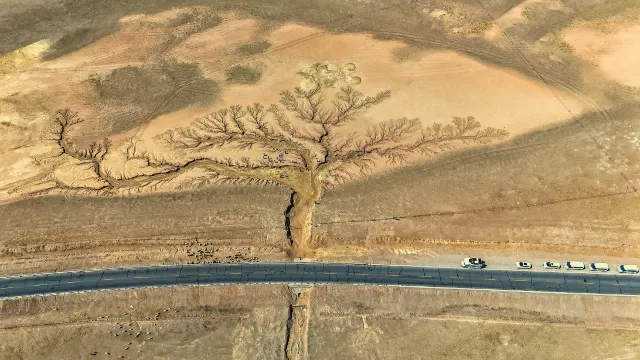 "Tree of the Earth" in Ngari Prefecture