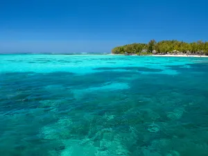 Totof Tours | Blue Bay Mauritius