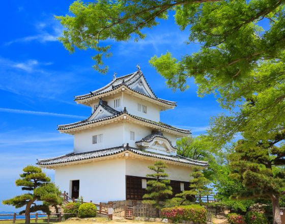 丸龜市 自由行套票