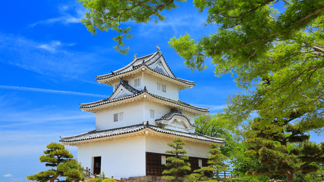 ปราสาทมารุกาเมะ