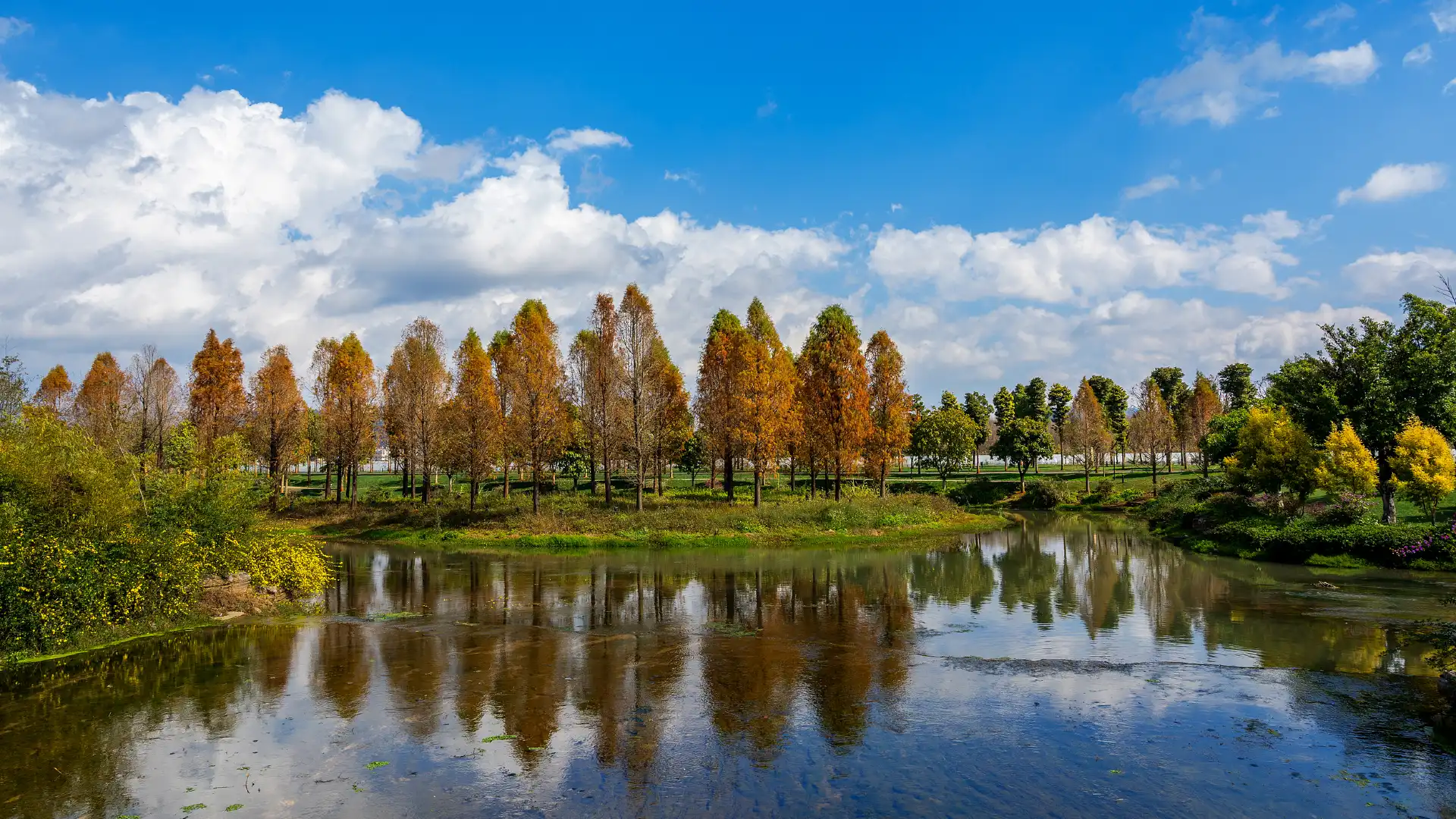 Hotels near Dianxi River