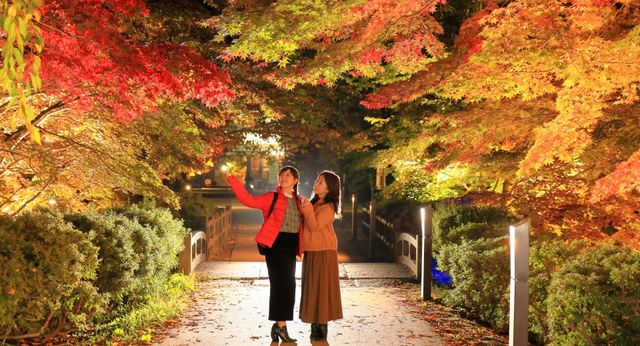 Hirosaki Castle Chrysanthemum and Autumn Foliage Festival | Hirosaki