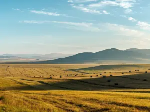 Ulagai Prairie