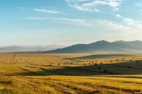 Ulagai Prairie