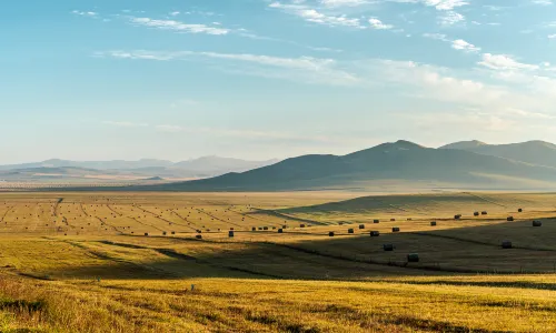 Ulagai Prairie