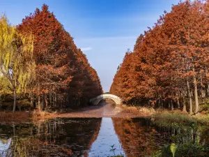 Suzhou Sanjiaoju Wetland Park