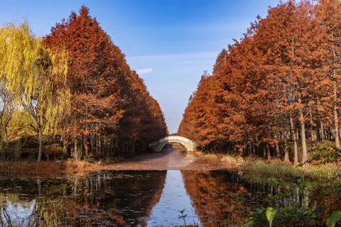 Suzhou Sanjiaoju Wetland Park