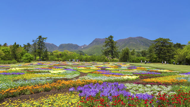 Kuju Flower Park