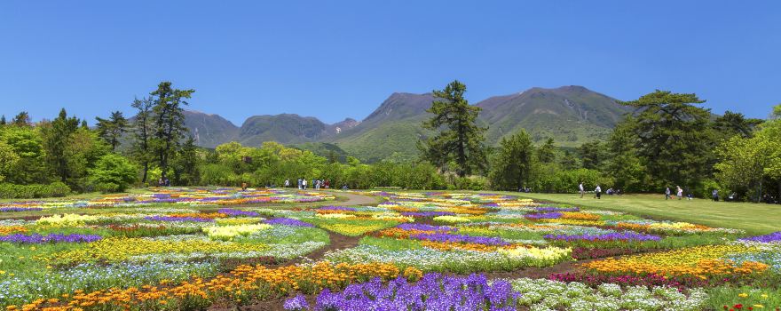 Kuju Flower Park