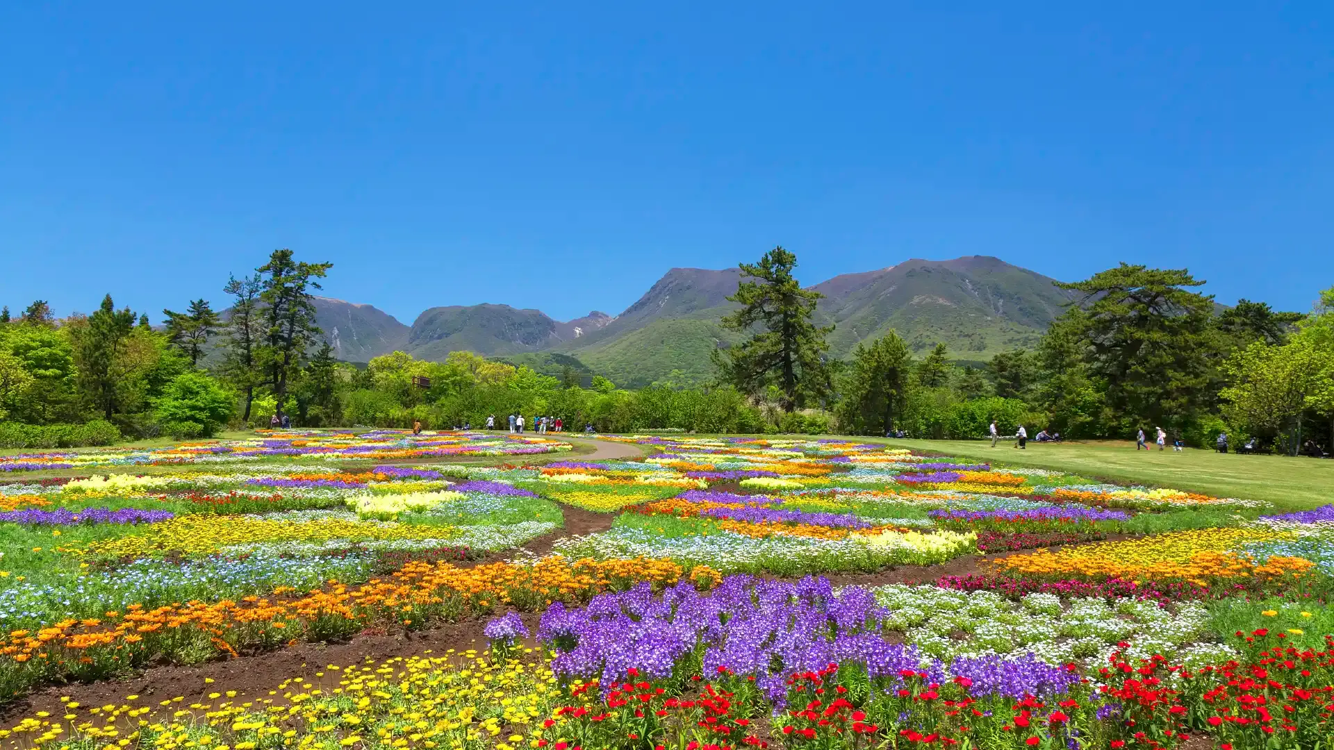 Hotels near Kuju Flower Park