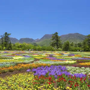 久住花公園