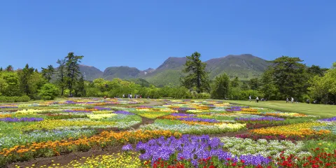 久住花公園