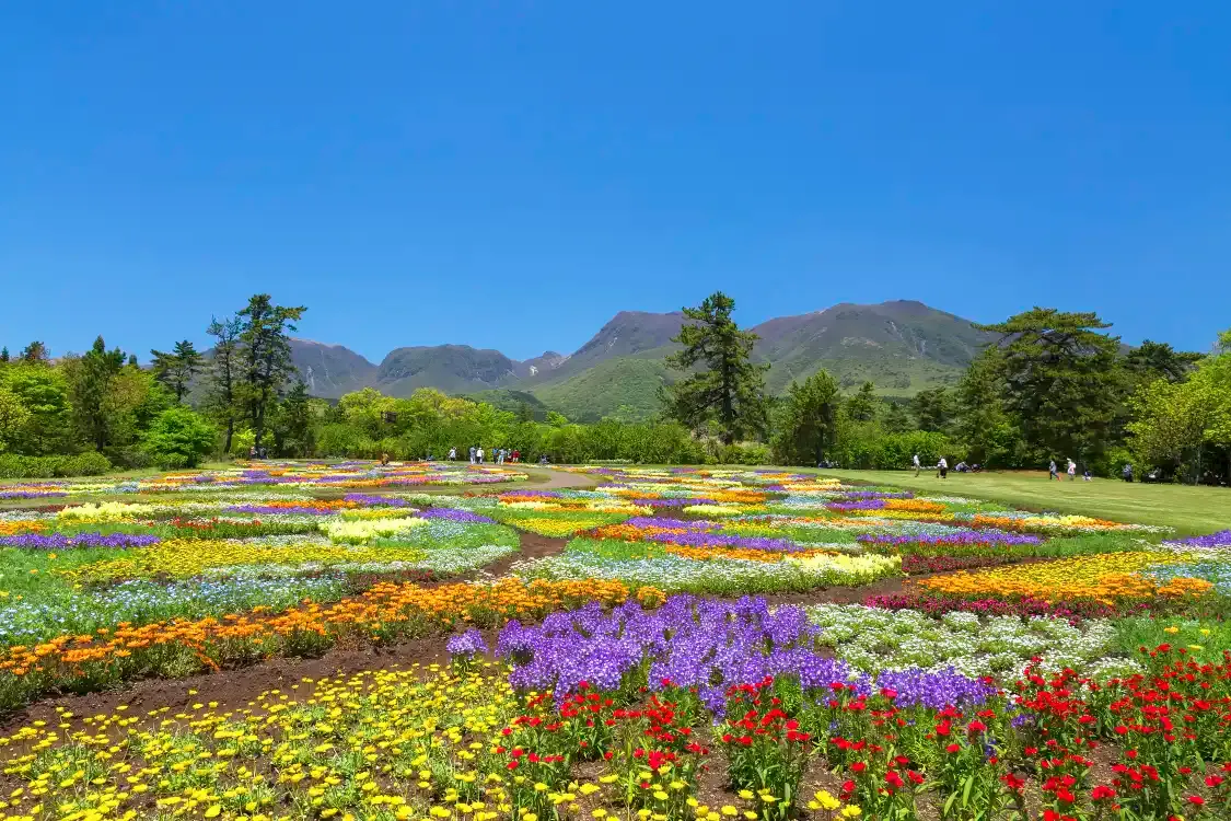 Hotels near Kuju Flower Park