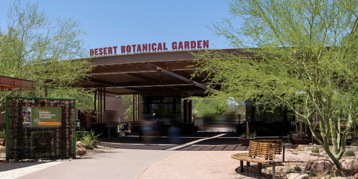 Desert Botanical Garden