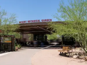Desert Botanical Garden
