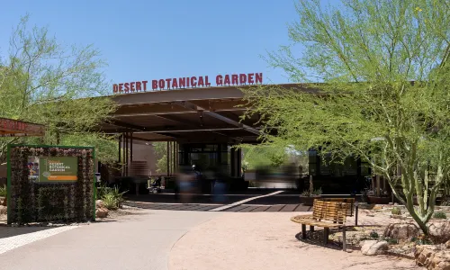 Desert Botanical Garden