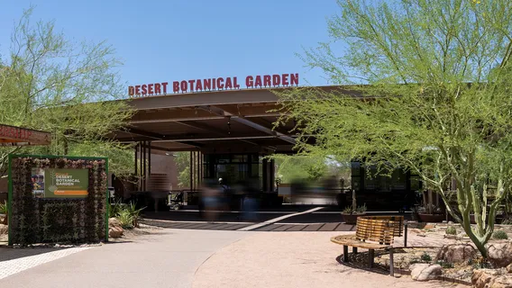 Desert Botanical Garden