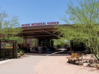 Voli diretti per Phoenix