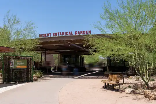 Hotels near Desert Botanical Garden