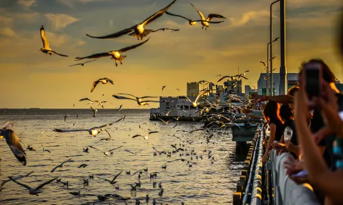 Bang Pu Recreation Center