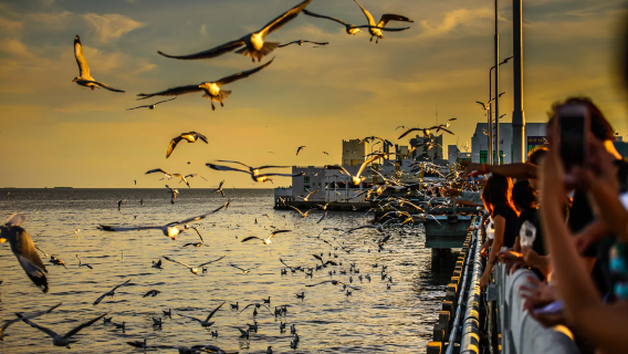 Bang Pu Recreation Center