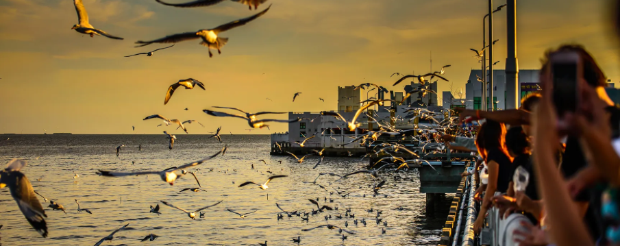 Bang Pu Recreation Center