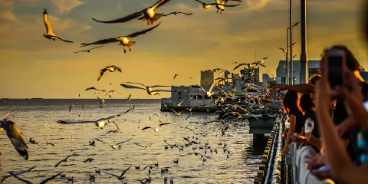 Bang Pu Recreation Center