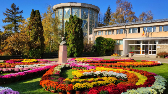 Botanic Garden