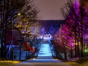 Top 10 Night Attractions in Changchun
