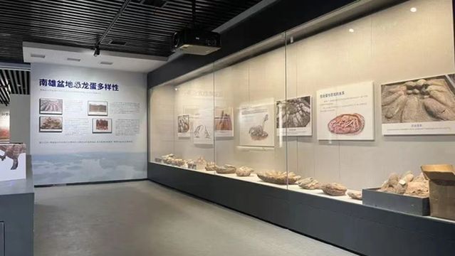 guang dong nan xiong kong long di zhi ke pu zhong xin