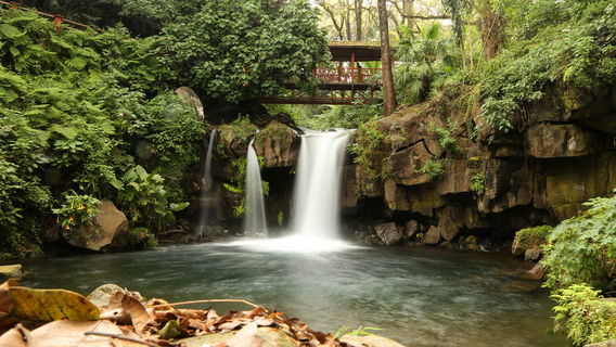 Parque Nacional Barranca del Cupatitzio