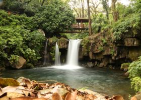 vuelos a Uruapan desde Veracruz
