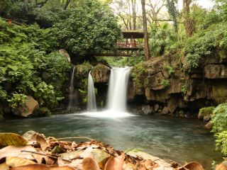 vuelos a Uruapan desde Veracruz