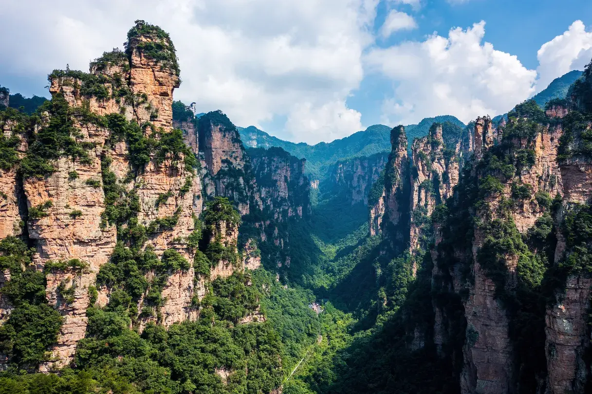 2_Golden Whip Stream