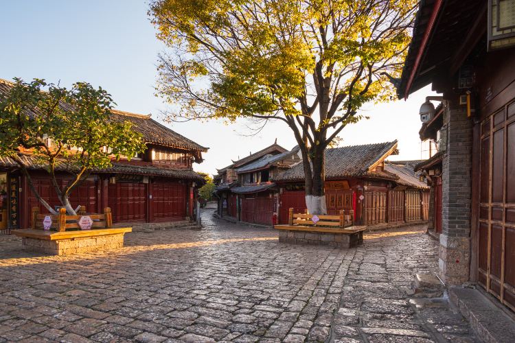 Square Market