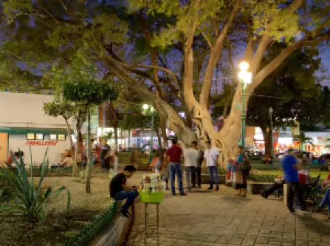 ฉากยอดฮิตยามค่ำคืนยอดนิยมในชีอาปัส