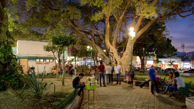 Parque de la Marimba