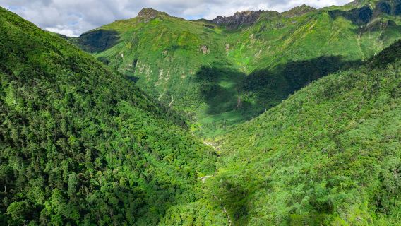Gaoligongshan National Nature Reserve